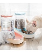 Dog Bowls & Feeders