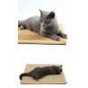 猫抓板剑麻垫-随机颜色