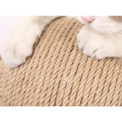 三角猫抓球带剑麻柱