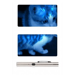 UV Flashlight,Black Light UV Lights Cat Moss Hand‑Held UV Flashlight For Detecting Dog Cat Urine Dry Stains Bed Bugs