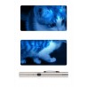 UV Flashlight,Black Light UV Lights Cat Moss Hand‑Held UV Flashlight For Detecting Dog Cat Urine Dry Stains Bed Bugs