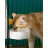 Cat Food and Water Feeder Dispenser Set, Hanging Automatic Gravity Feeder for Puppy, Dog, Cat and Most Small Animals (White)