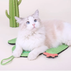 Griffoir pour Chat 40*20cm Cactus