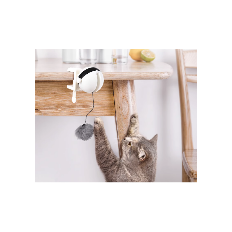 Jouet électrique à levage automatique pour chat
