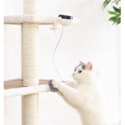 Jouet électrique à levage automatique pour chat