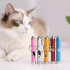 Laser Lumière LED Pointeur Stylo Lampe de Poche