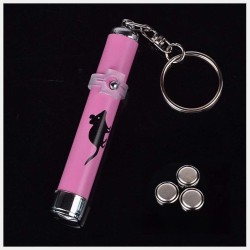 Laser Lumière LED Pointeur Stylo Lampe de Poche