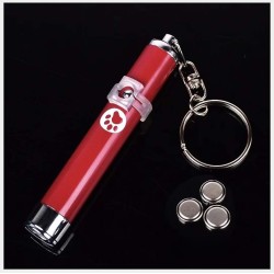 Laser Lumière LED Pointeur Stylo Lampe de Poche