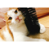 猫抓板拱桥蹭毛器