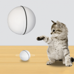 MAGIC BALL FOR CAT