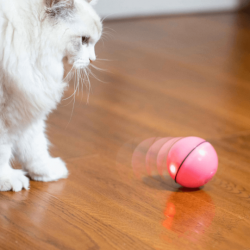 MAGIC BALL FOR CAT