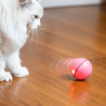 MAGIC BALL FOR CAT