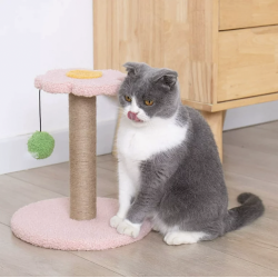 Cat Scratching Post Cat Scratcher for Indoor Cats with Flower Platform Top and Interactive Ball Toys