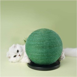 Funny Cactus Cat Scratching Post pet Scratch Post Cat Interactive Toys with Hanging Ball